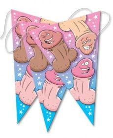 Bachelorette Party Banner